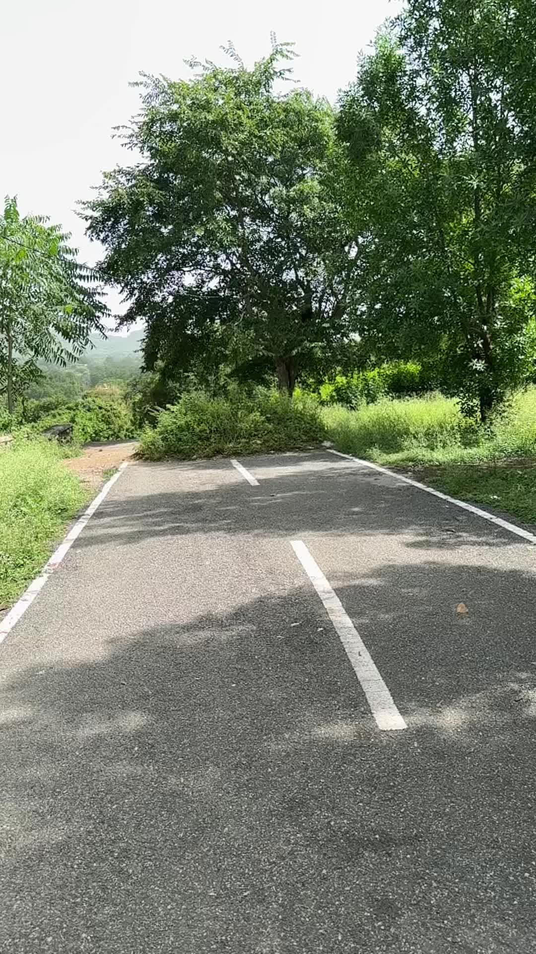 @Gujjugirl 13