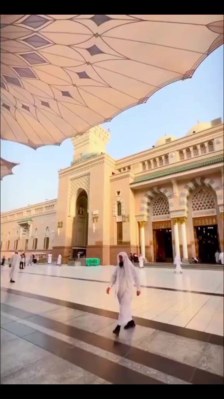 @adnan.dani