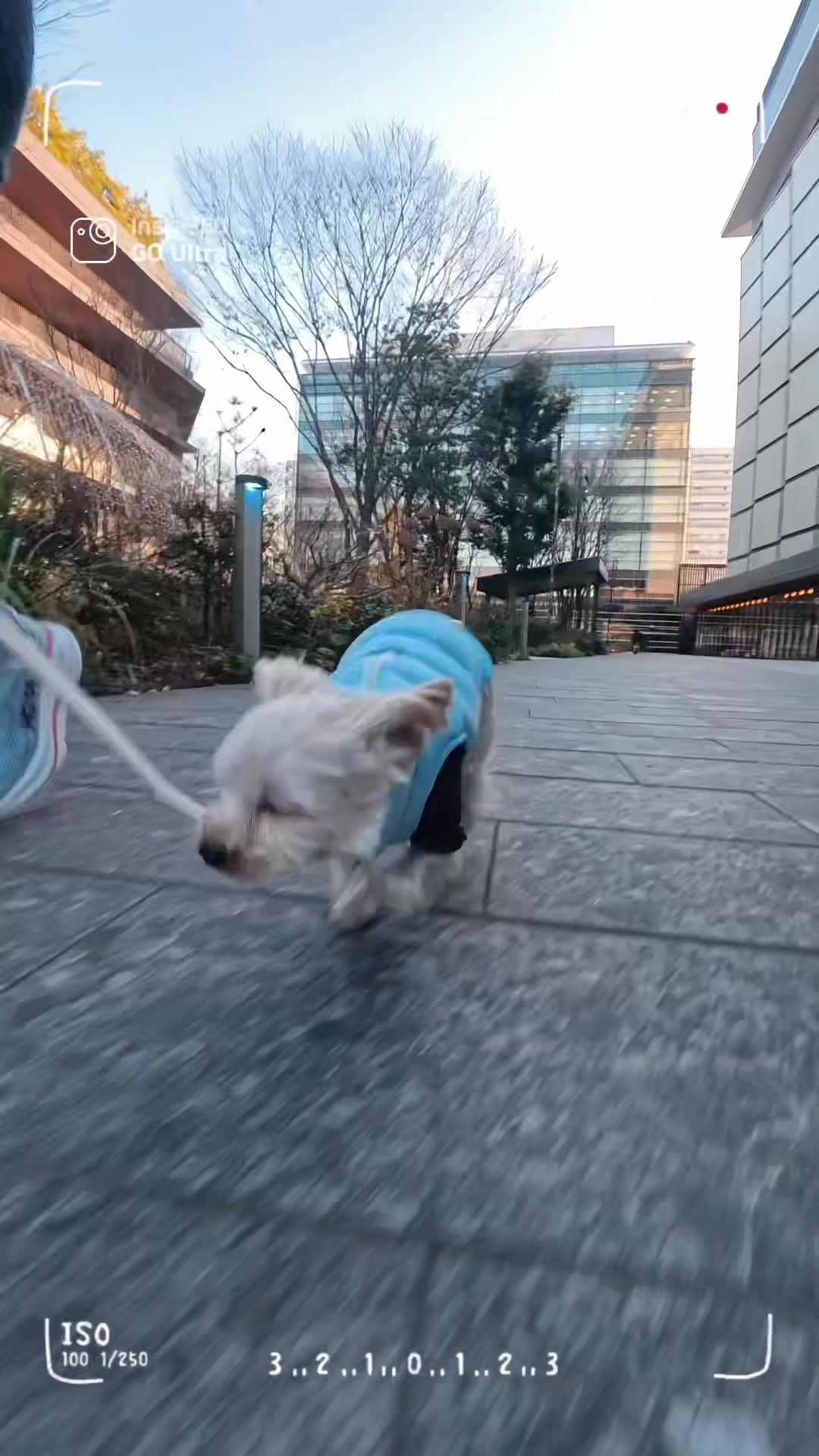 @みちゃよも🐶🐱