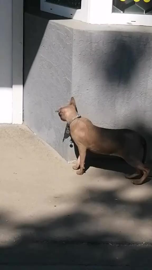 @Зинаида