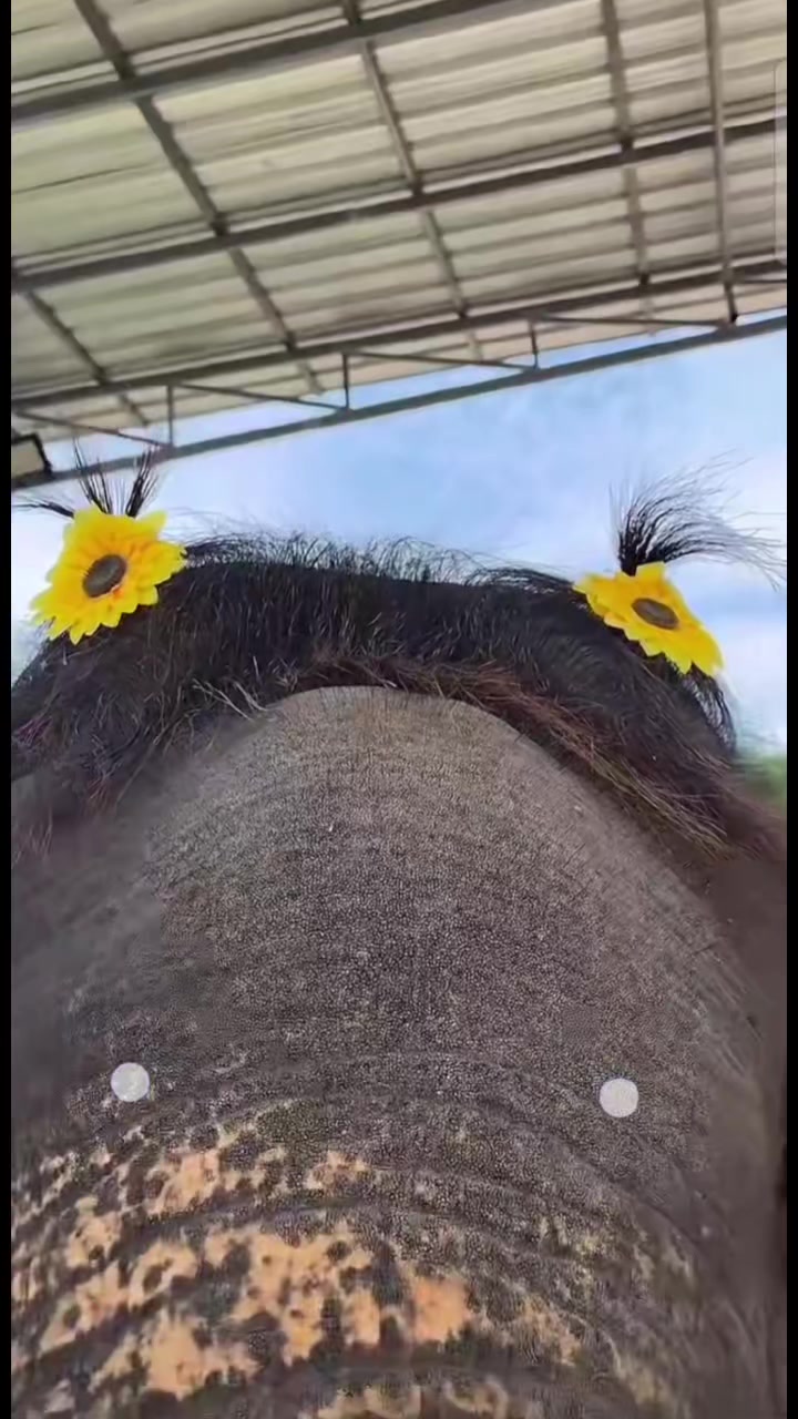 @EyZamorano