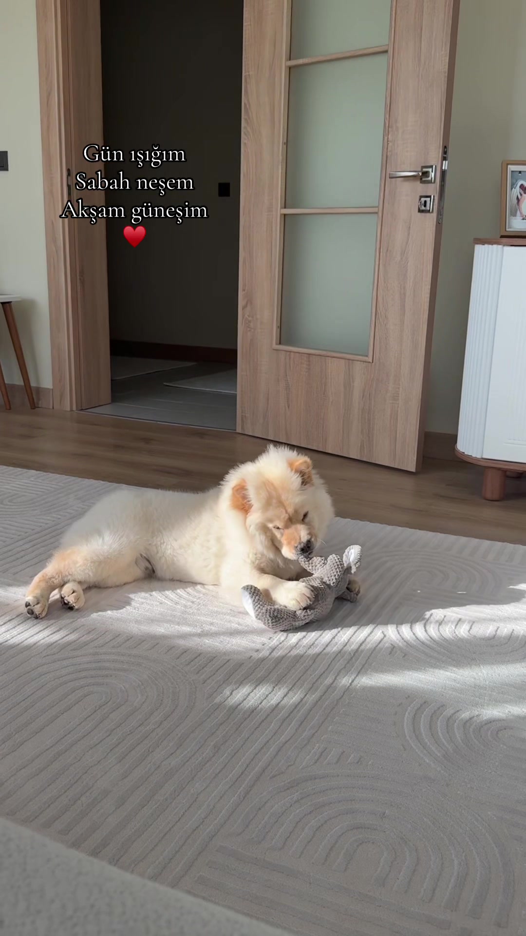 @İlayda Tırpancı G&uuml;nd&uuml;z