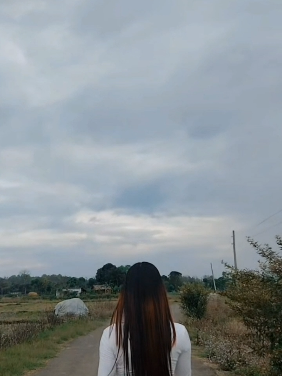 @🖤