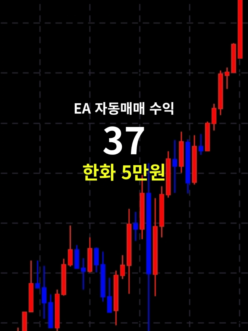@독싸 &bull; 개인 트레이더