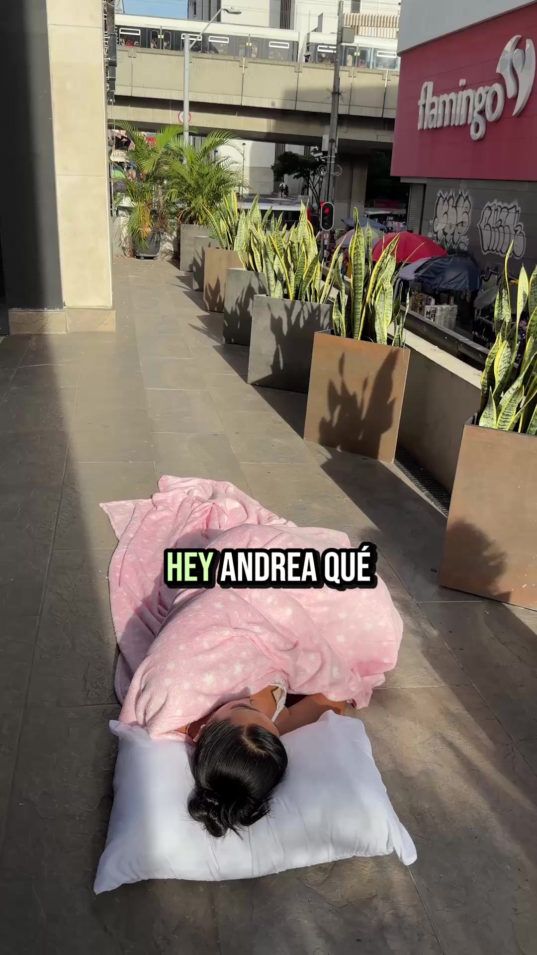 @Andrea rico