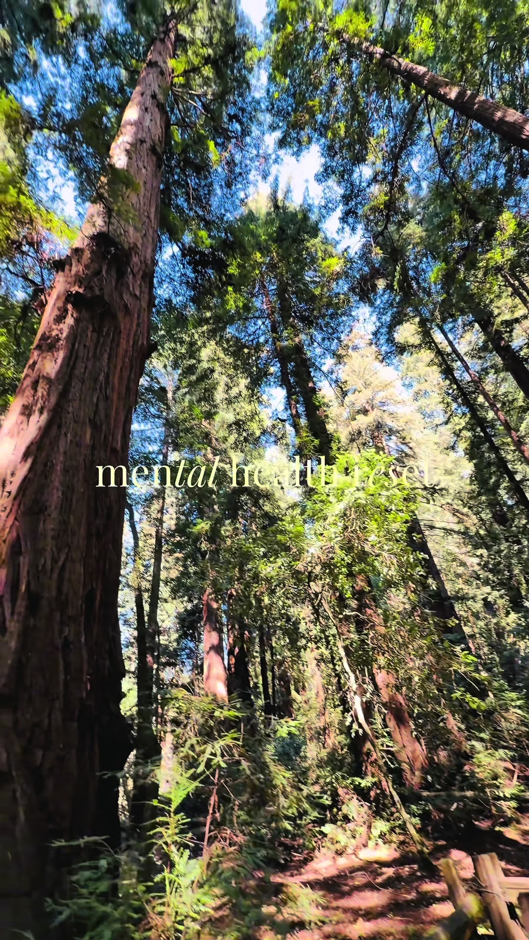 @deej in california