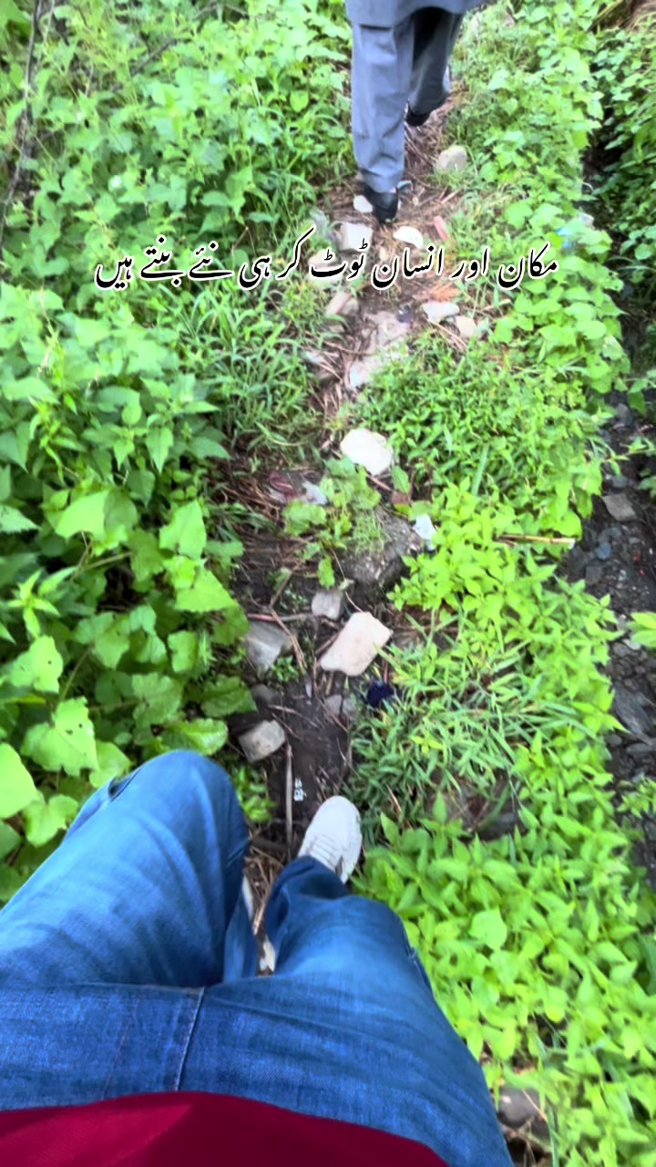 @خواجہ مشاھد رفیق