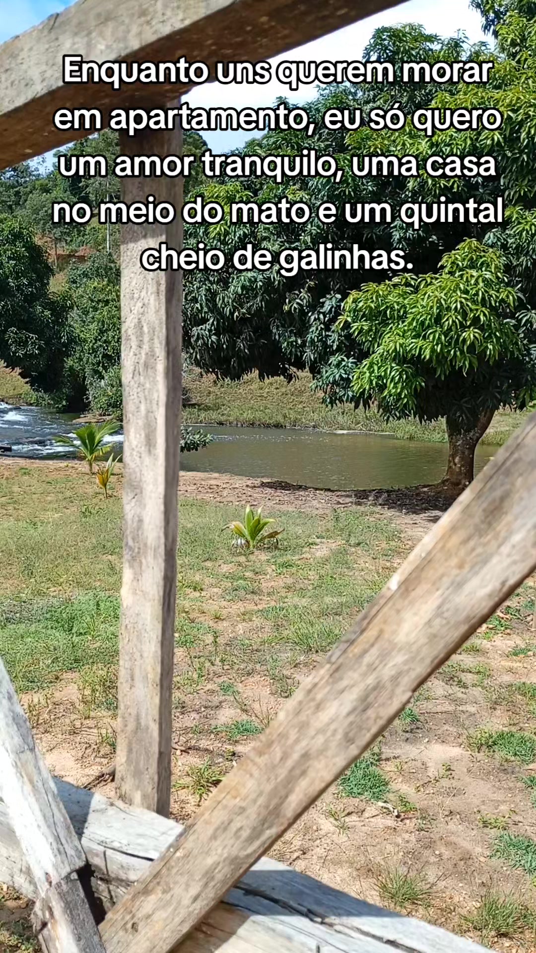 @Roça 🤠🌱