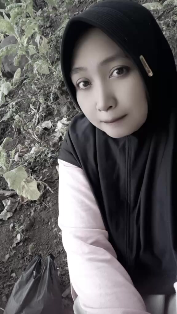 @Al- FARIZI