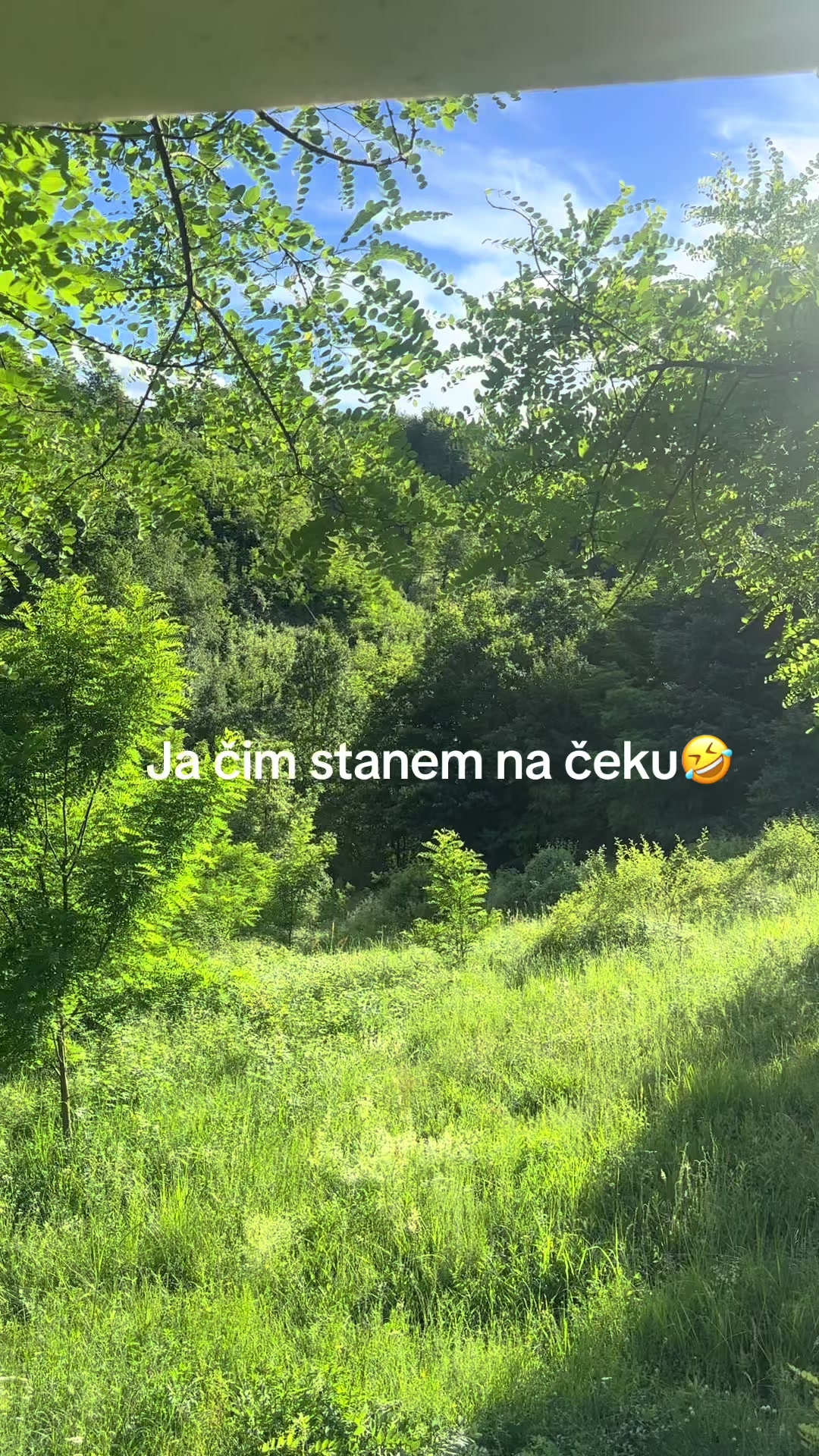 @Arnes