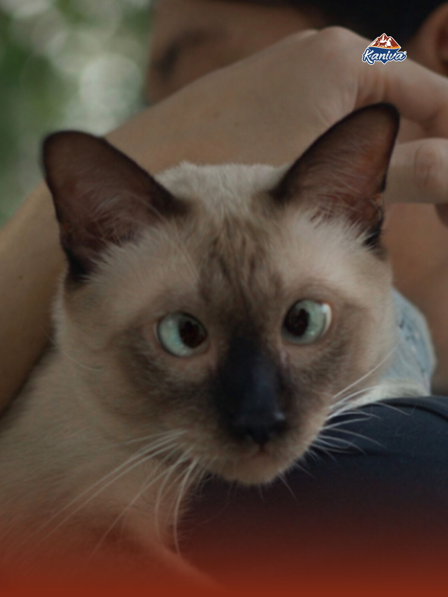 @Kaniva Pet Food
