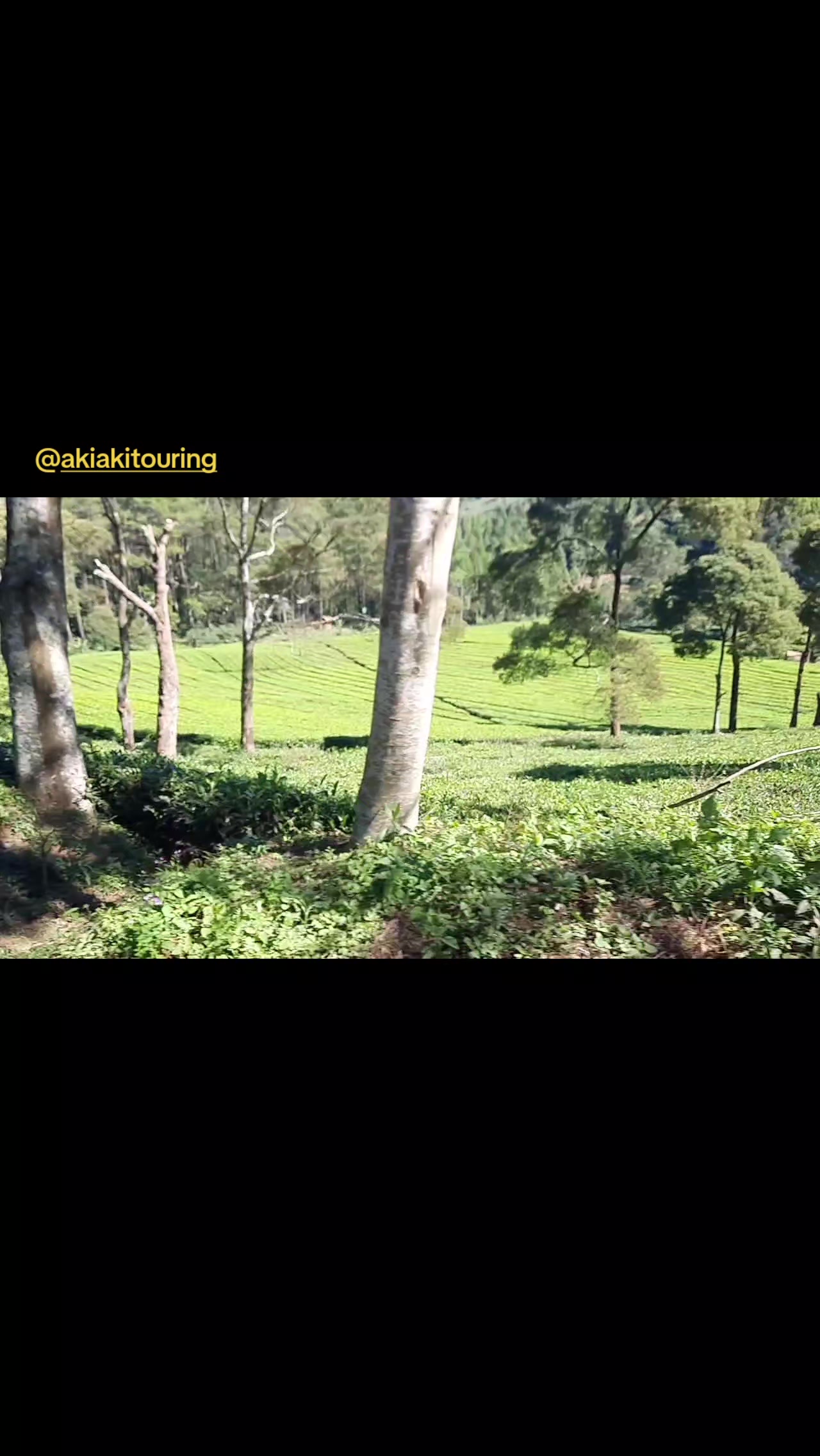@akiakitouring