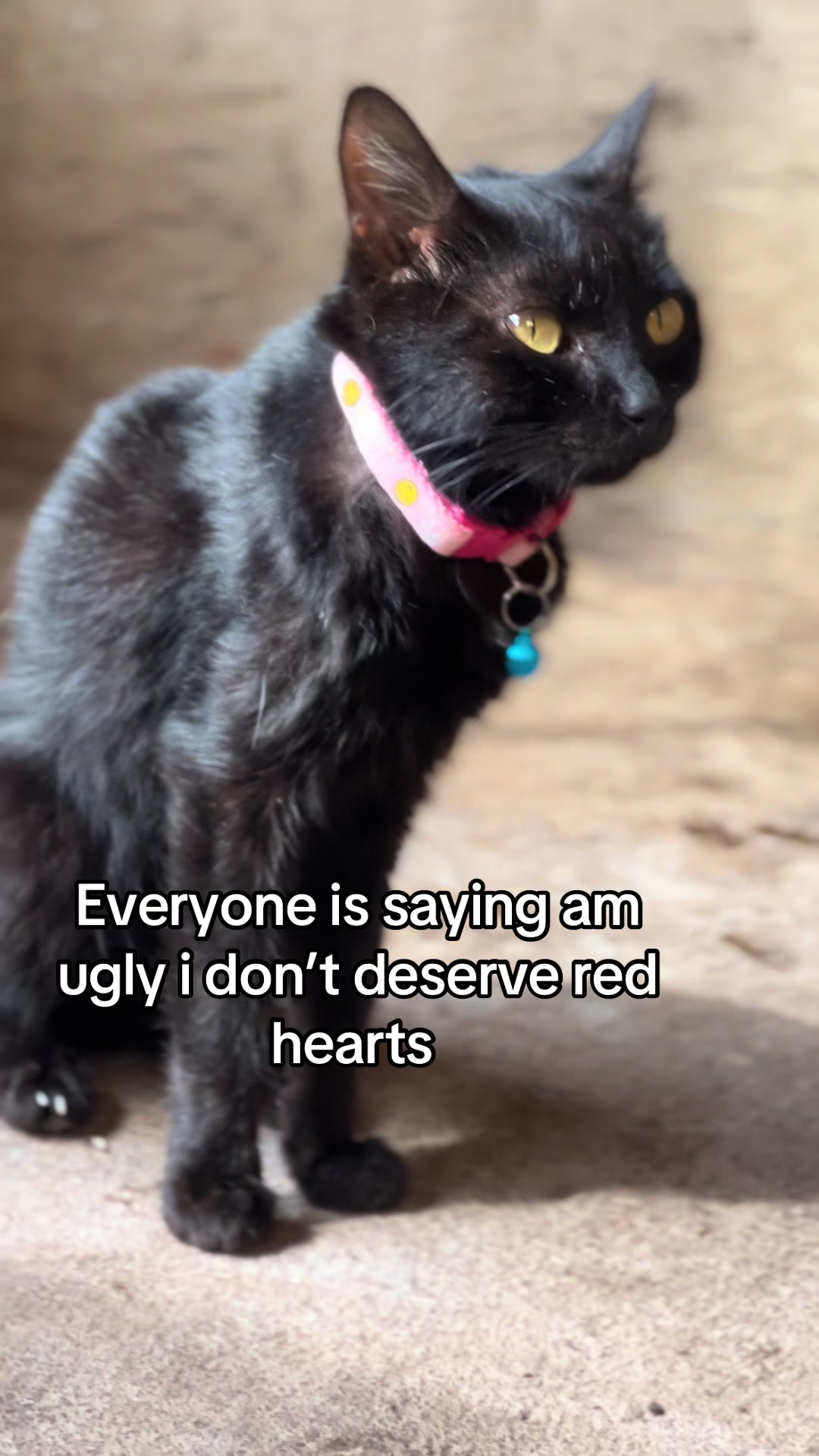 @D strays