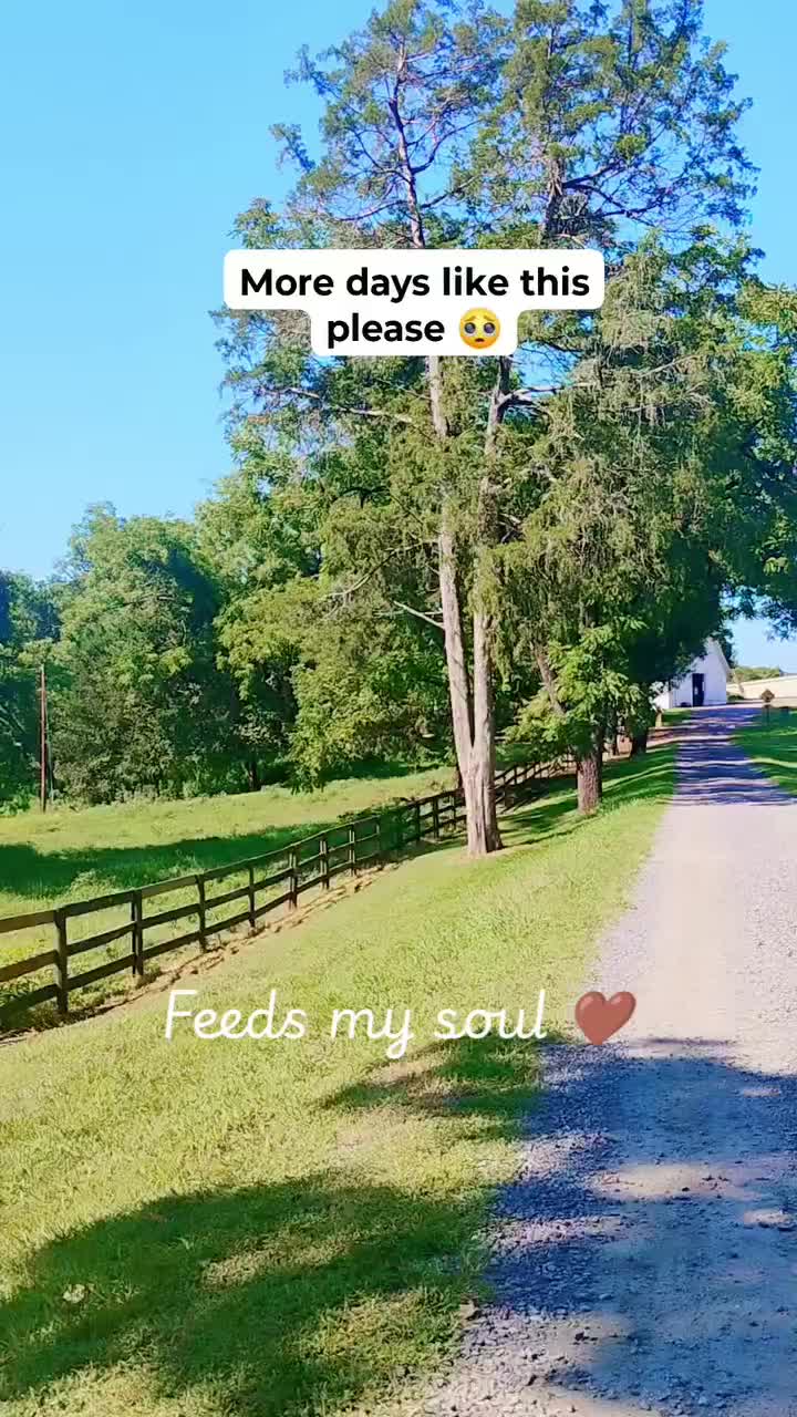 @NaturewithVee✨