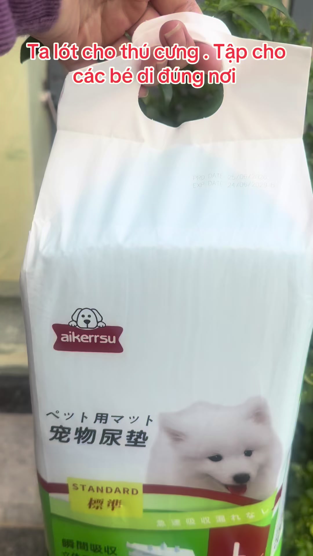 @Shop Mai Ngọc