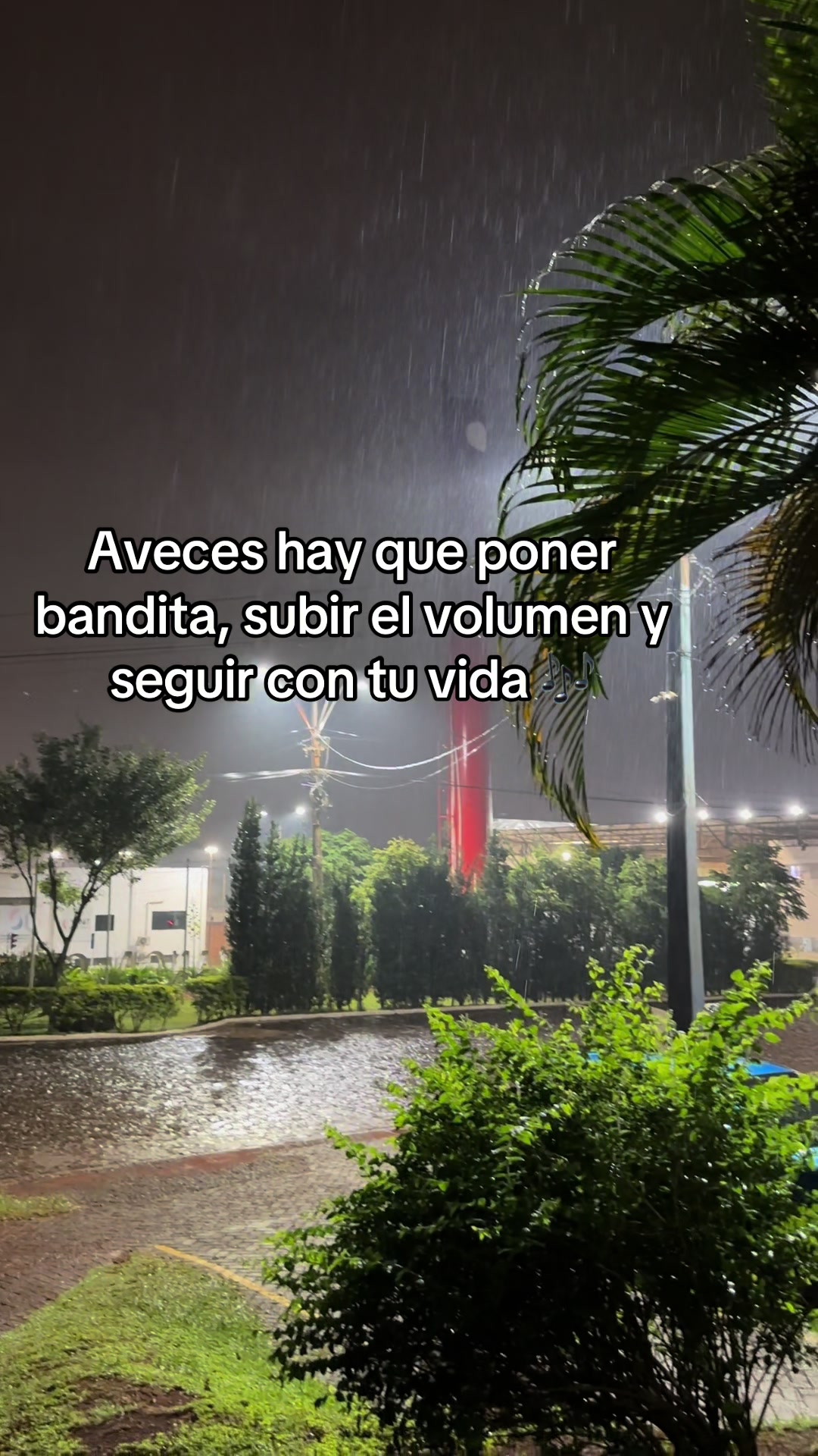 @Alicia Ayala 🍪🧚♀️✨