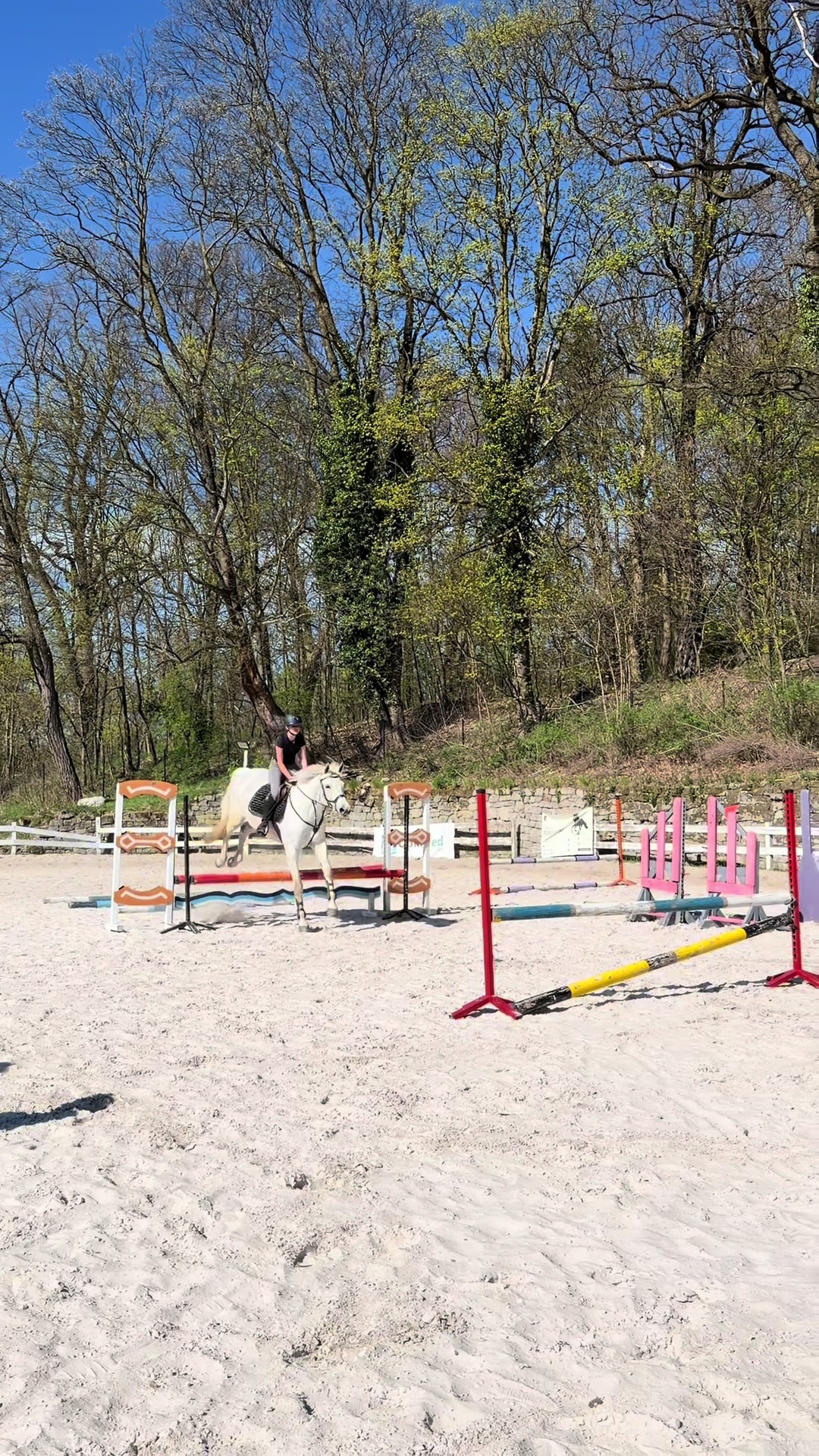 @🐴💗TA OD BELLI I ARY💗🐴