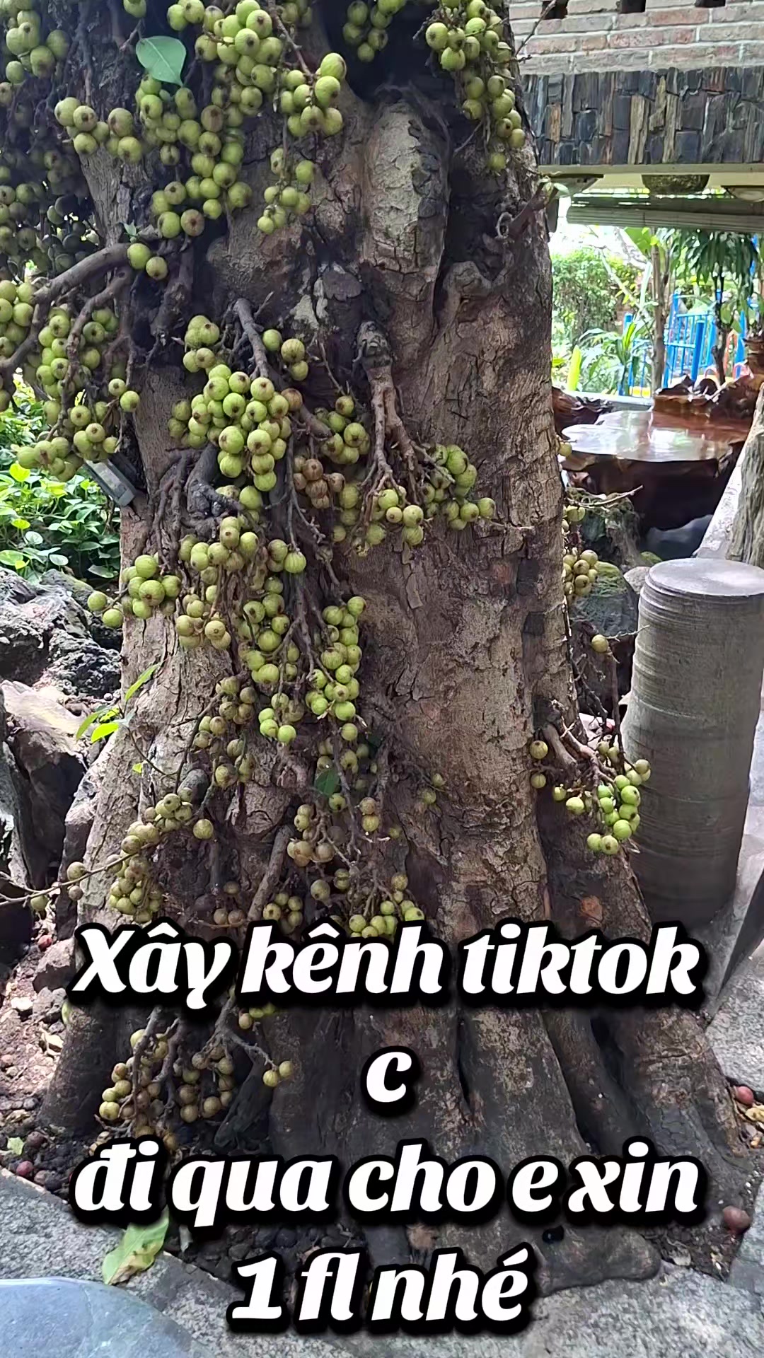@Hạnh Nguyễn