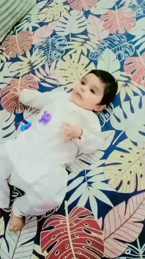 @Natural videos