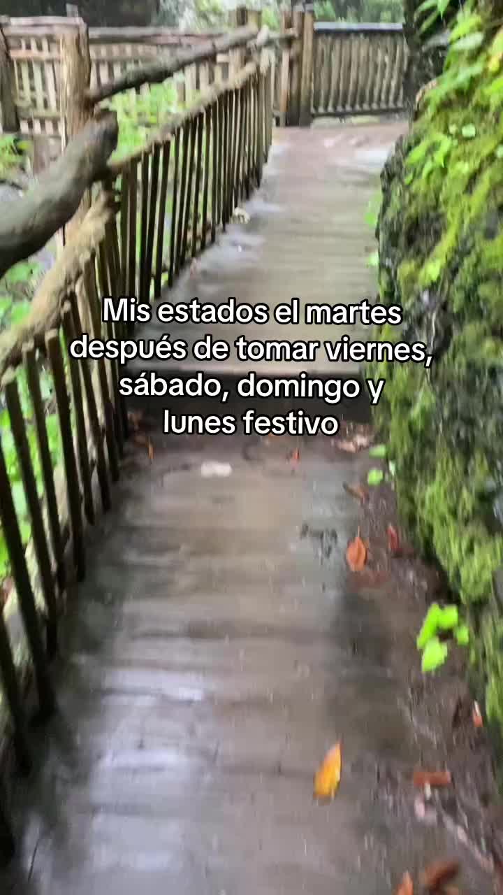 @𝒥𝑜𝒽𝒶_𝓃𝓃𝒶🌸