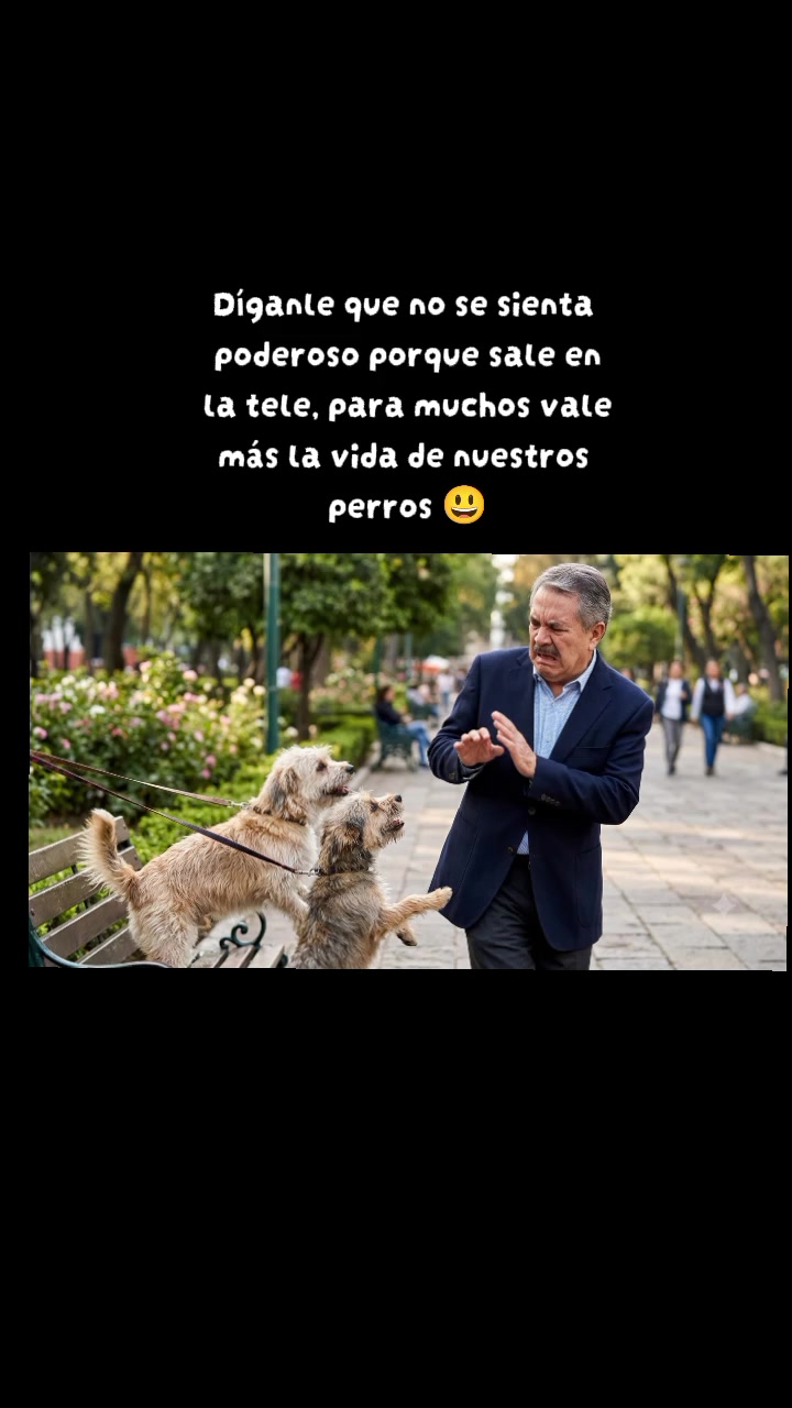 @Laura de los Perros