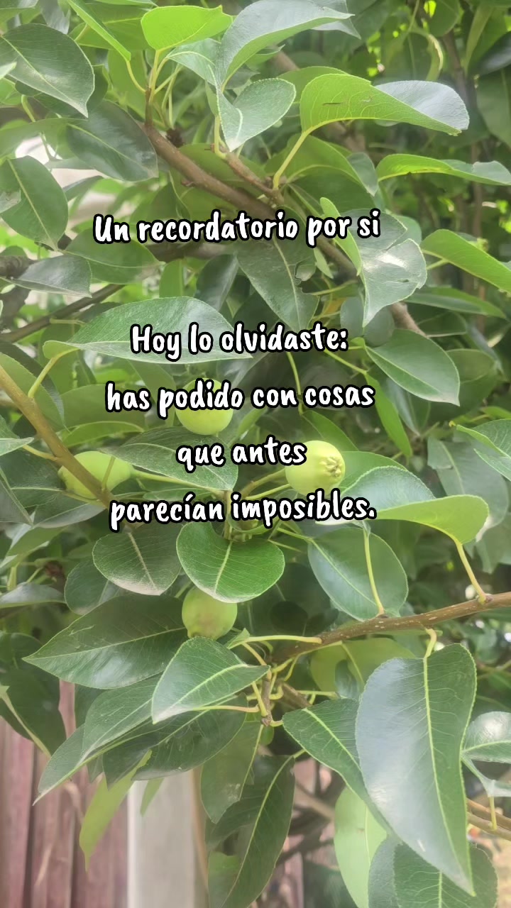 @Psic. Monica Delgadillo