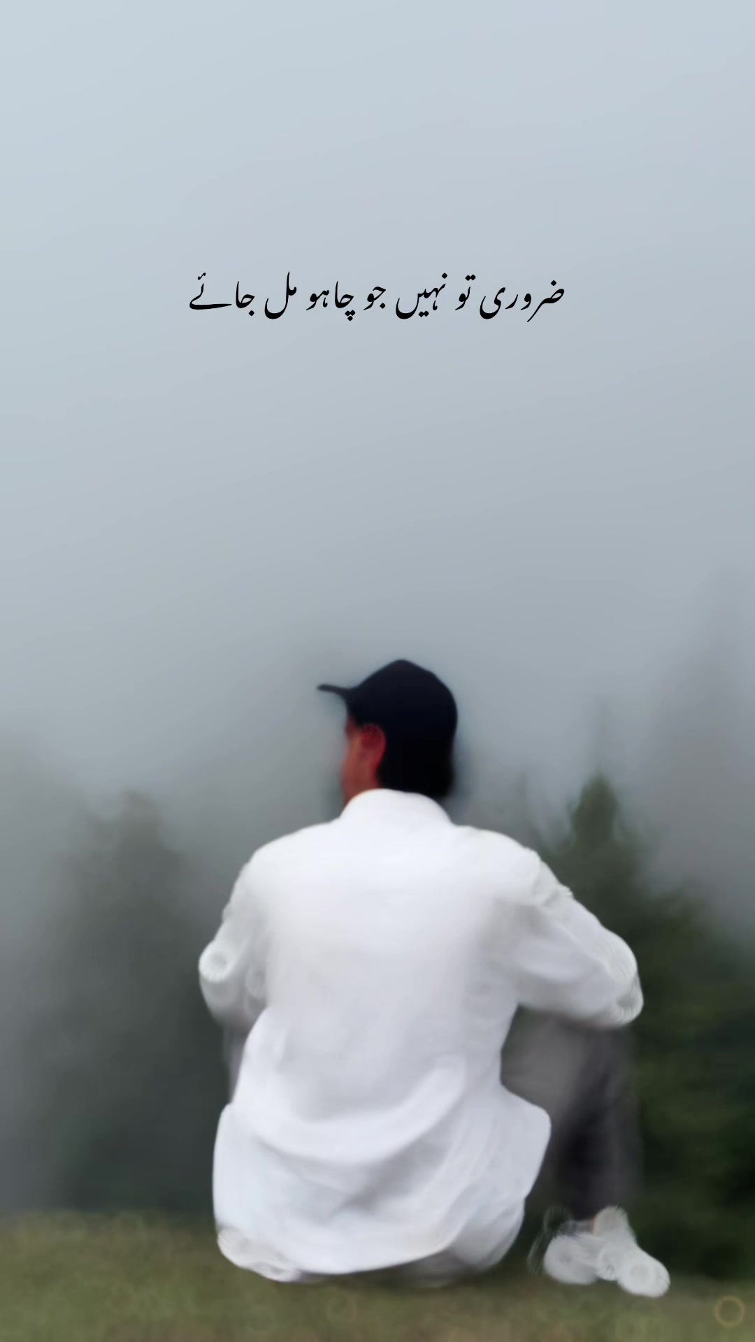 @سیدفہدحسین شاہ