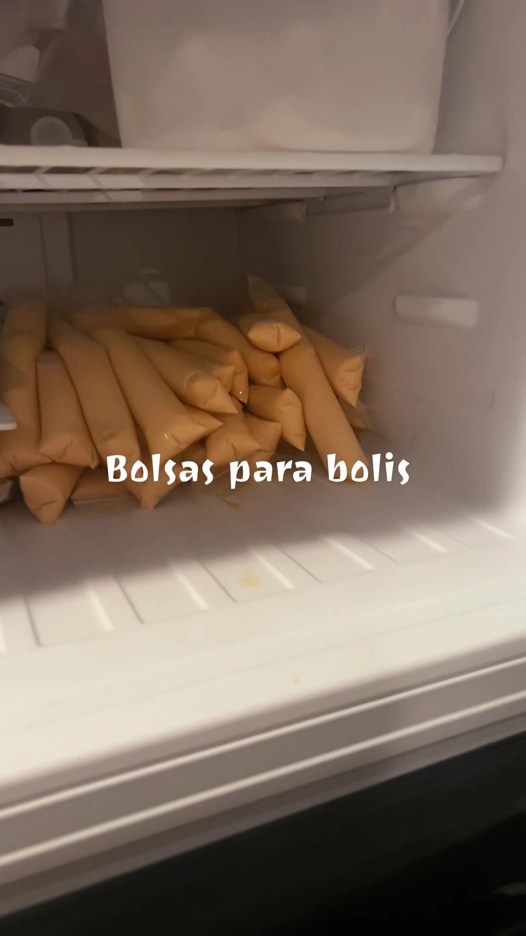 @lolischula