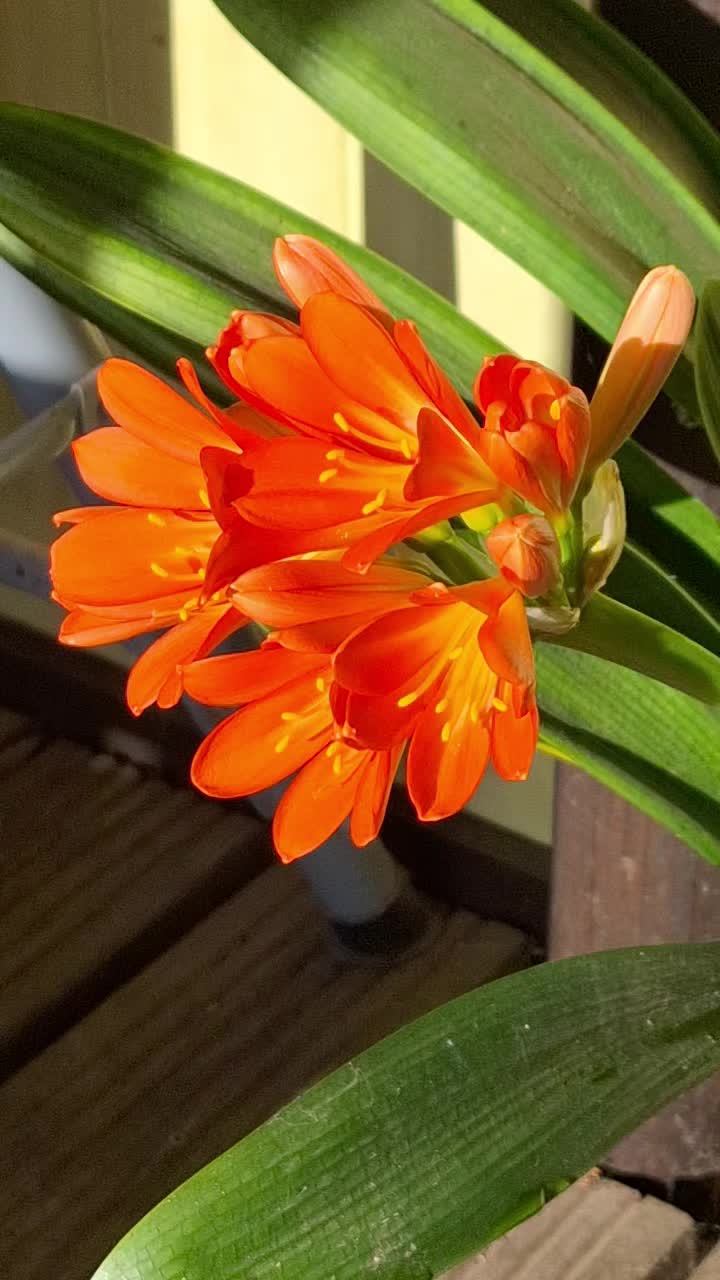 @Natur und Garten