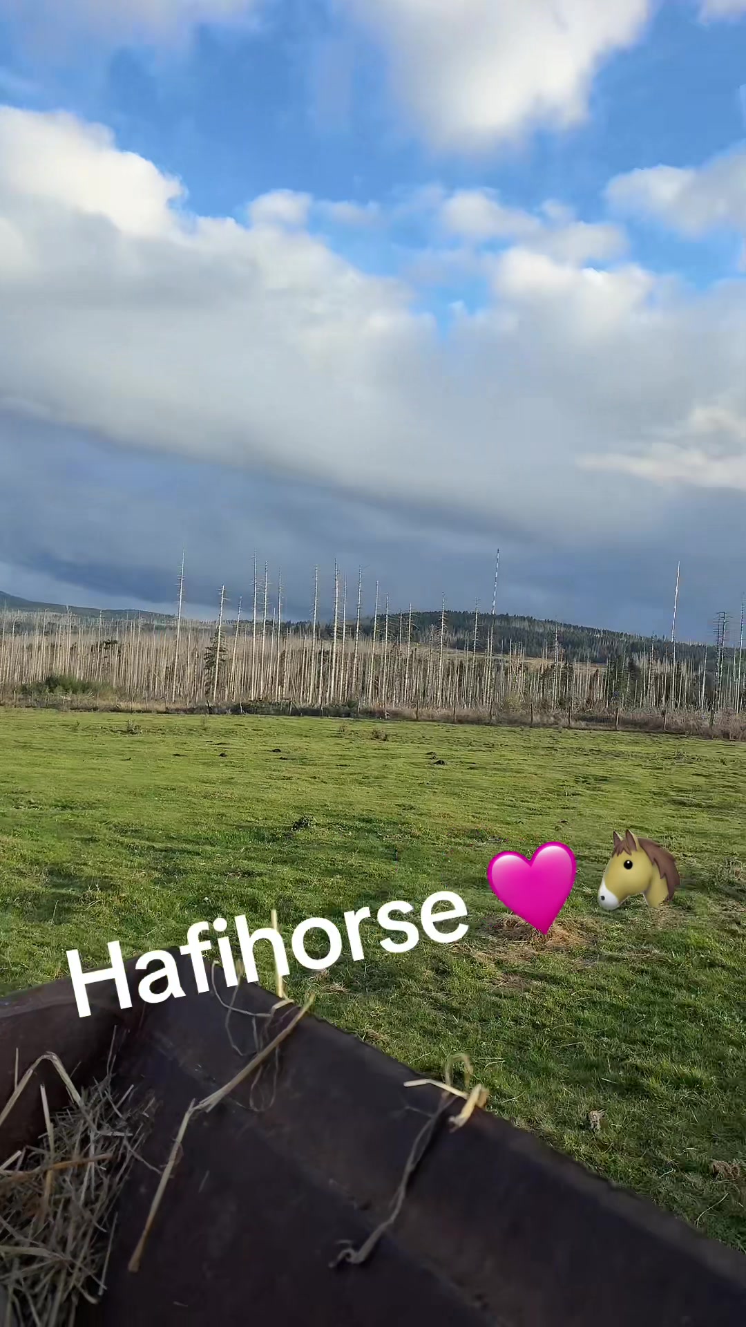@HafiHorse2