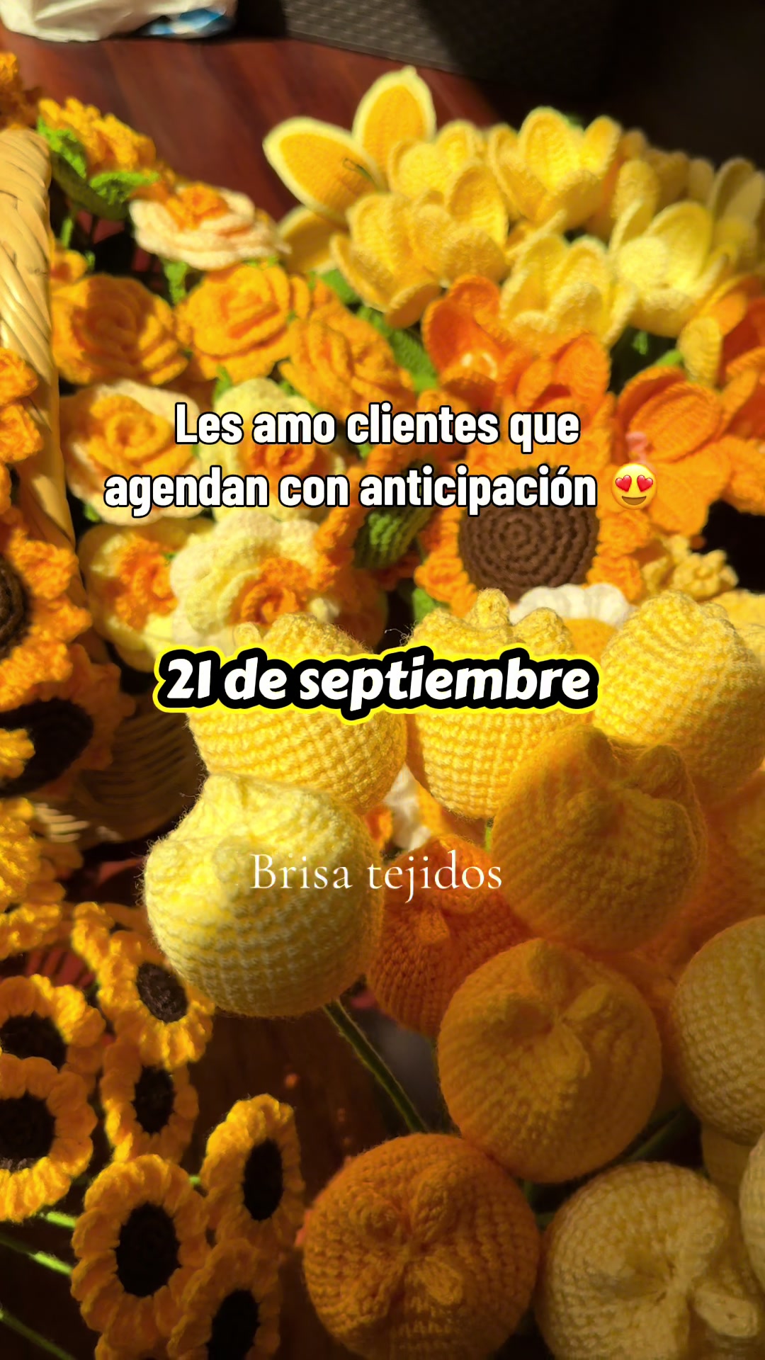 @brisa_tejidos