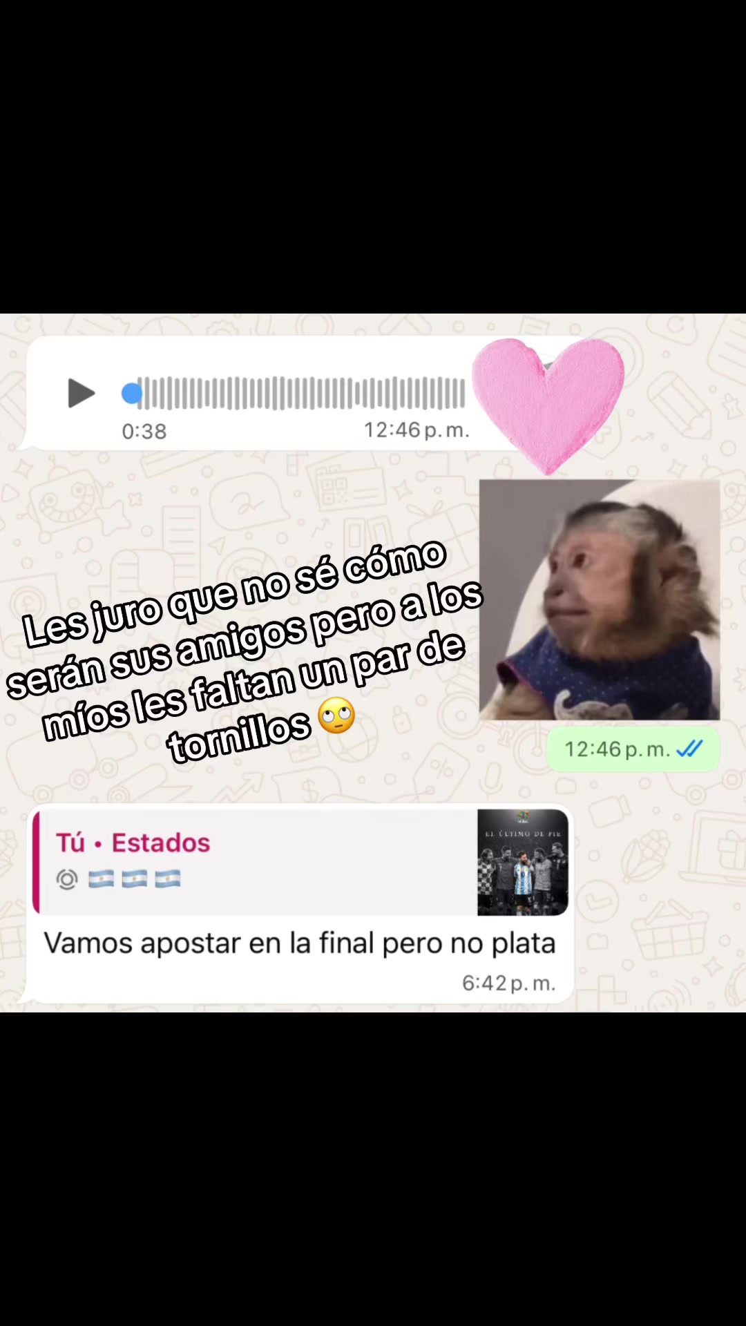 @Angela🌸 ✨