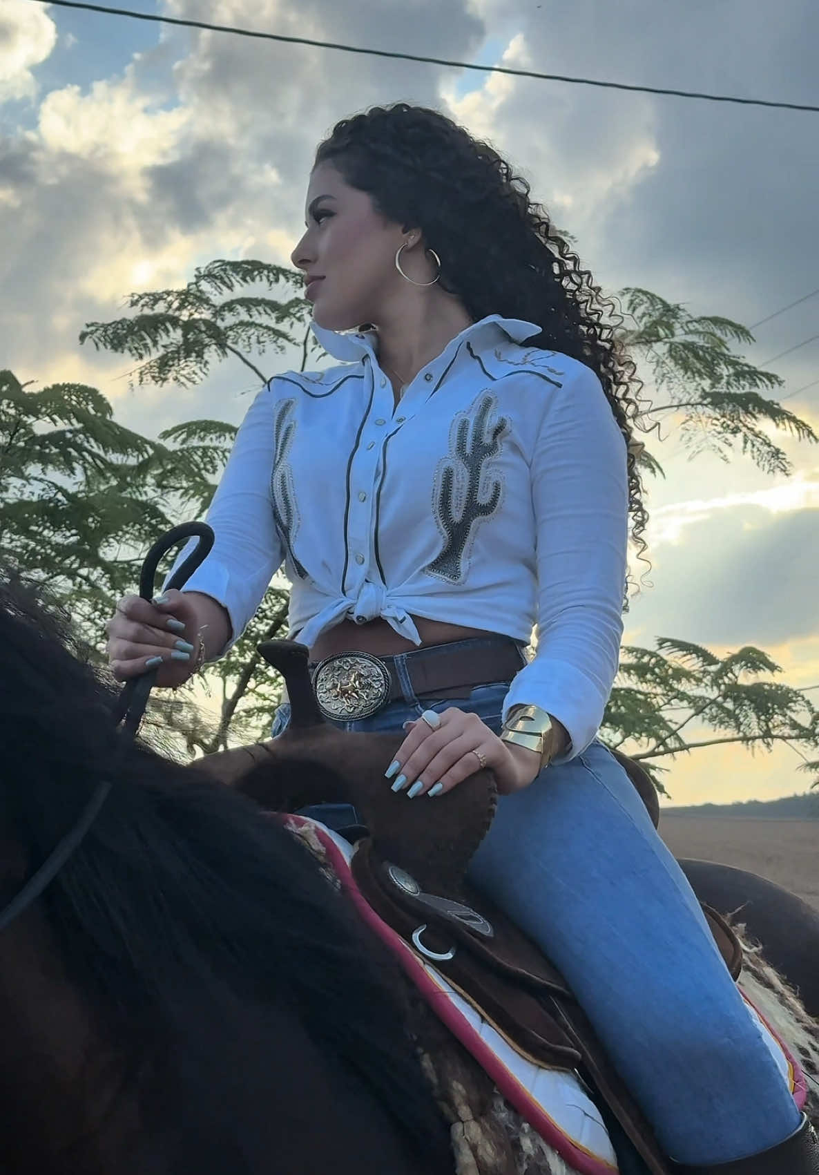 @Letícia Disher