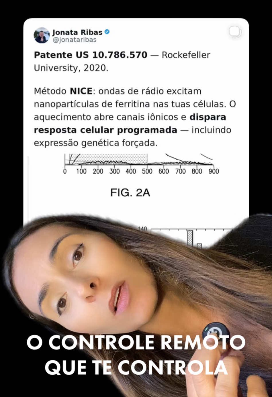 @Verônica Bernardino 2