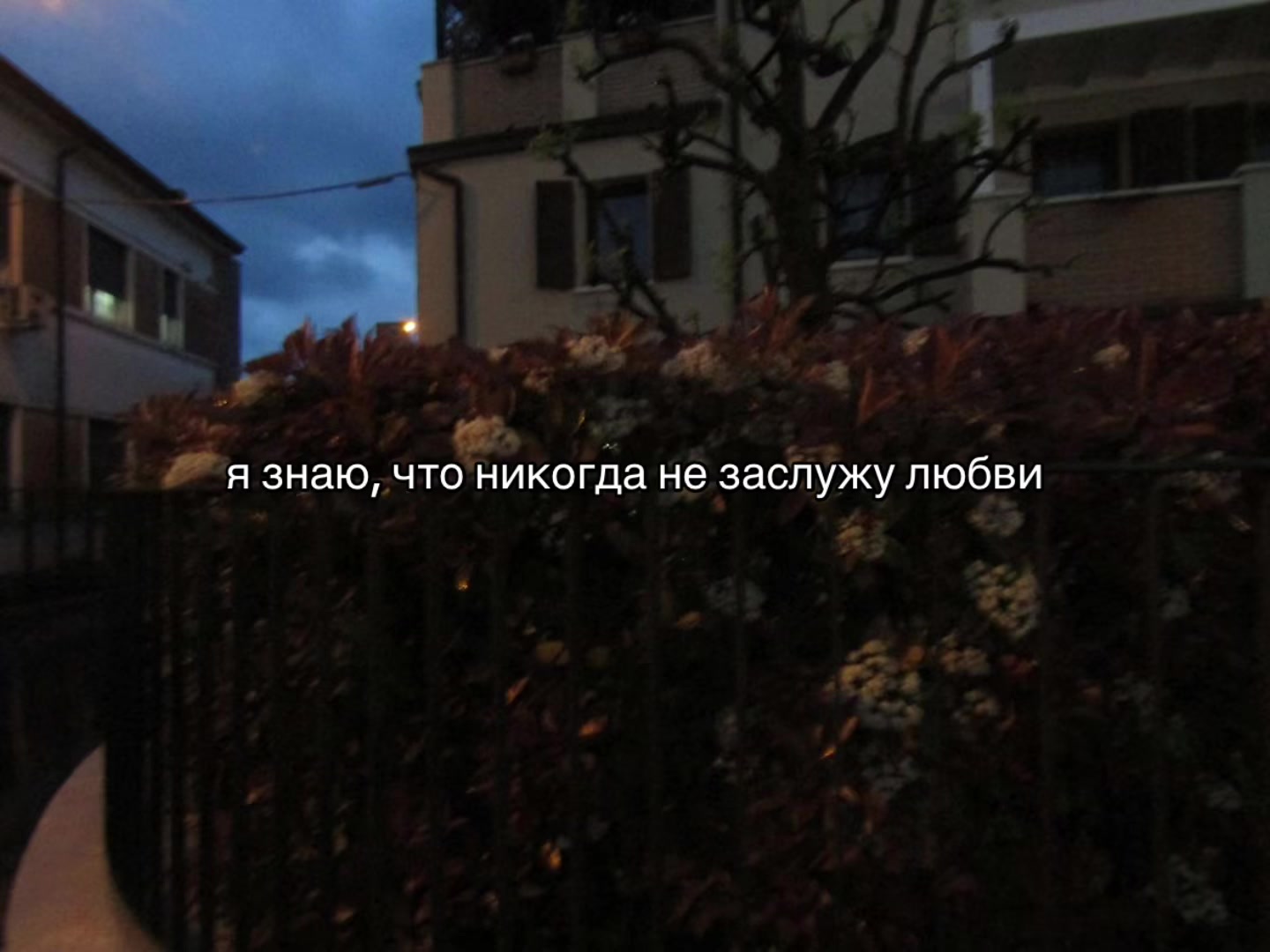 @𝒏𝒊𝒈𝒉𝒕𝒎𝒂𝒓𝒆