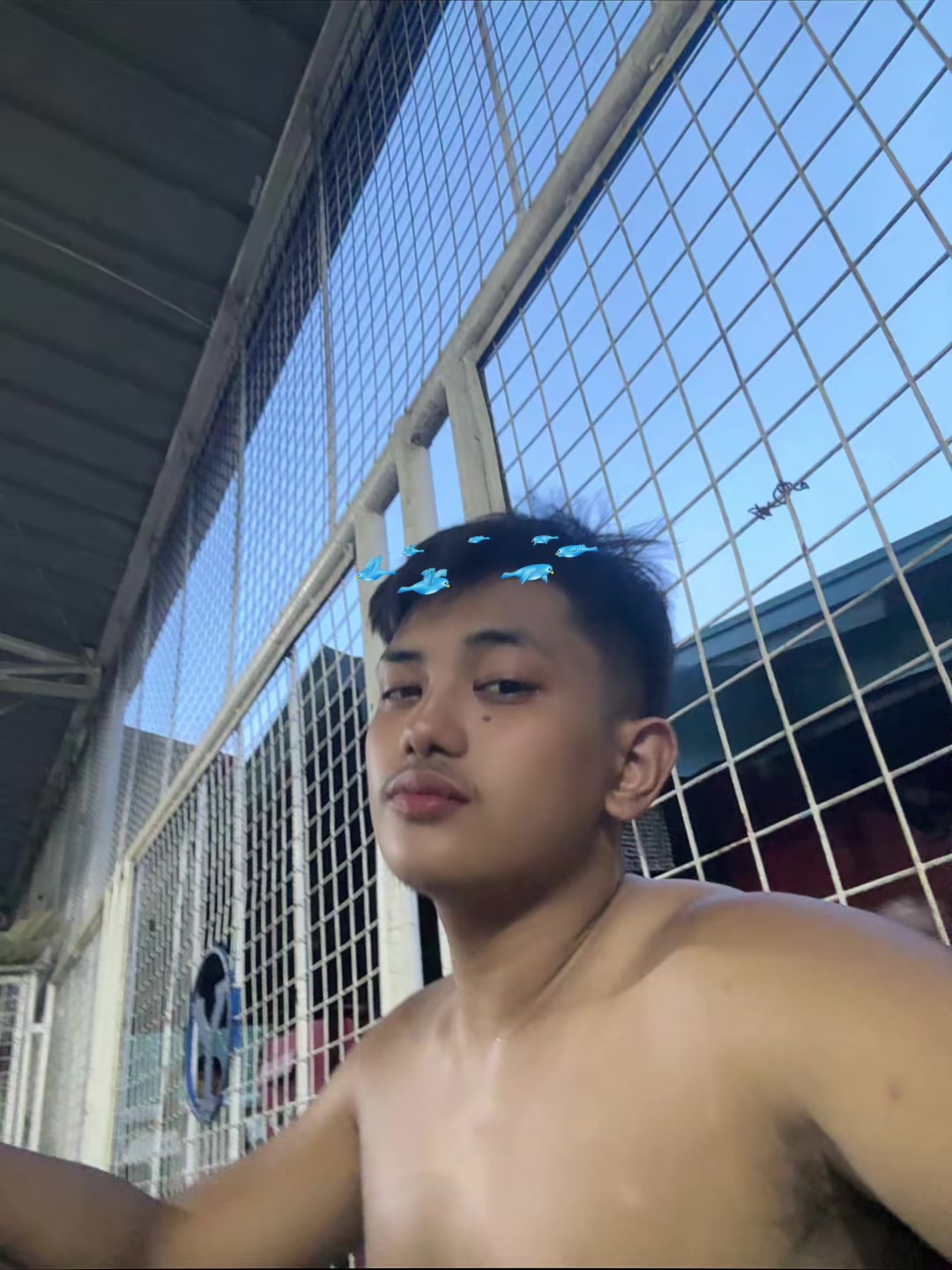 @ANDOKS