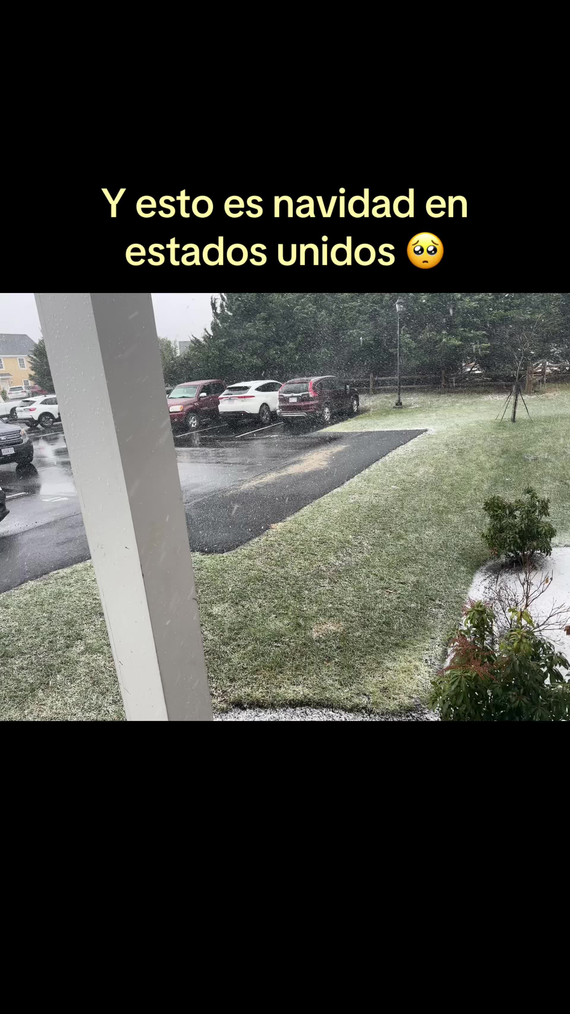 @Cataleya 🤍🇸🇻&🇺🇸