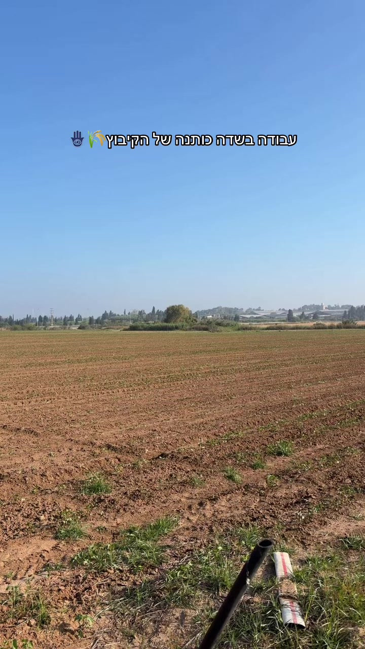 @מכינת דרור שלוחת יד מרדכי 🐦⬛