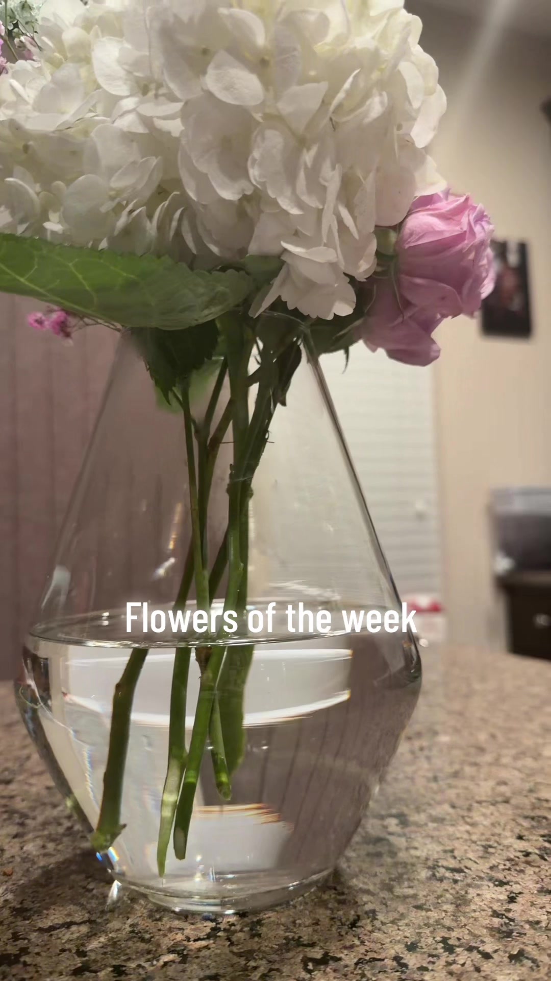 @boldradiance