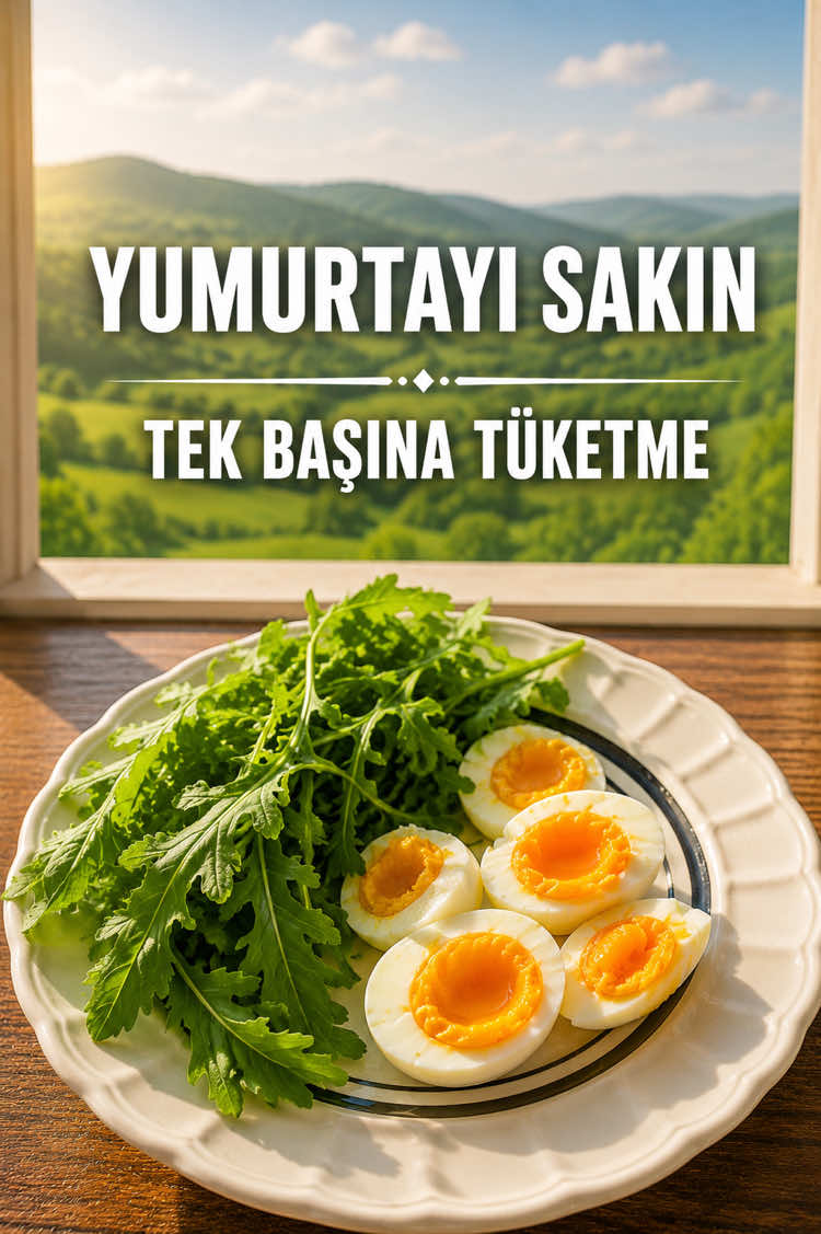 @mutlubirtabak
