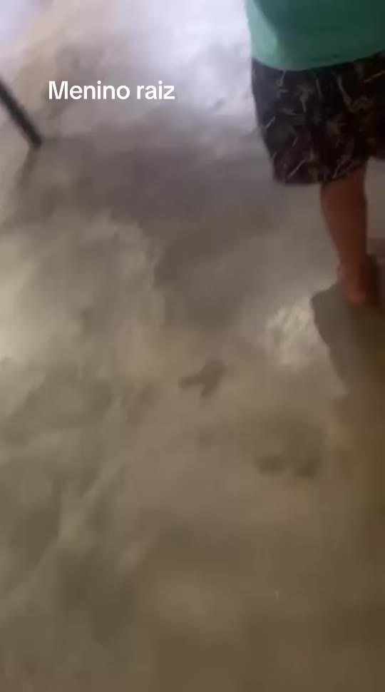 @diihsantos088