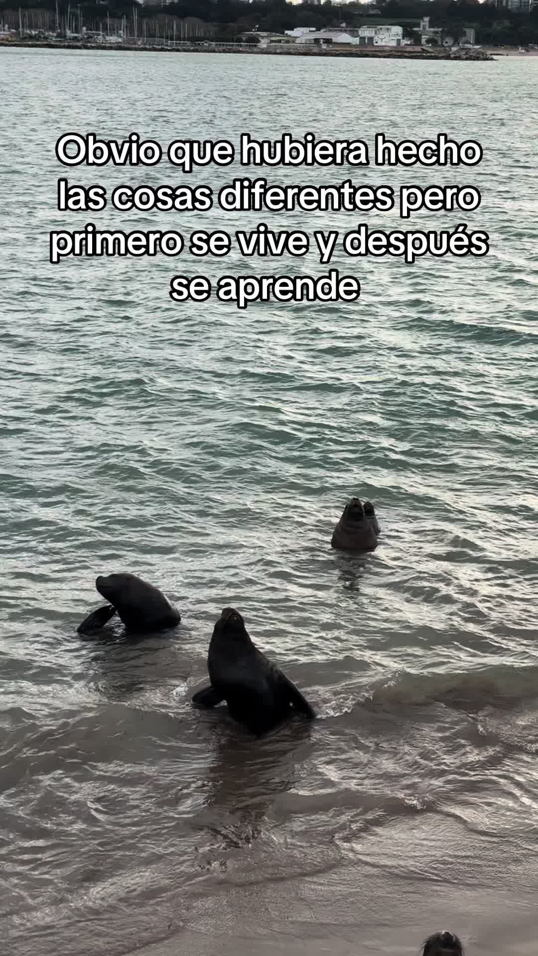 @Anto Teves