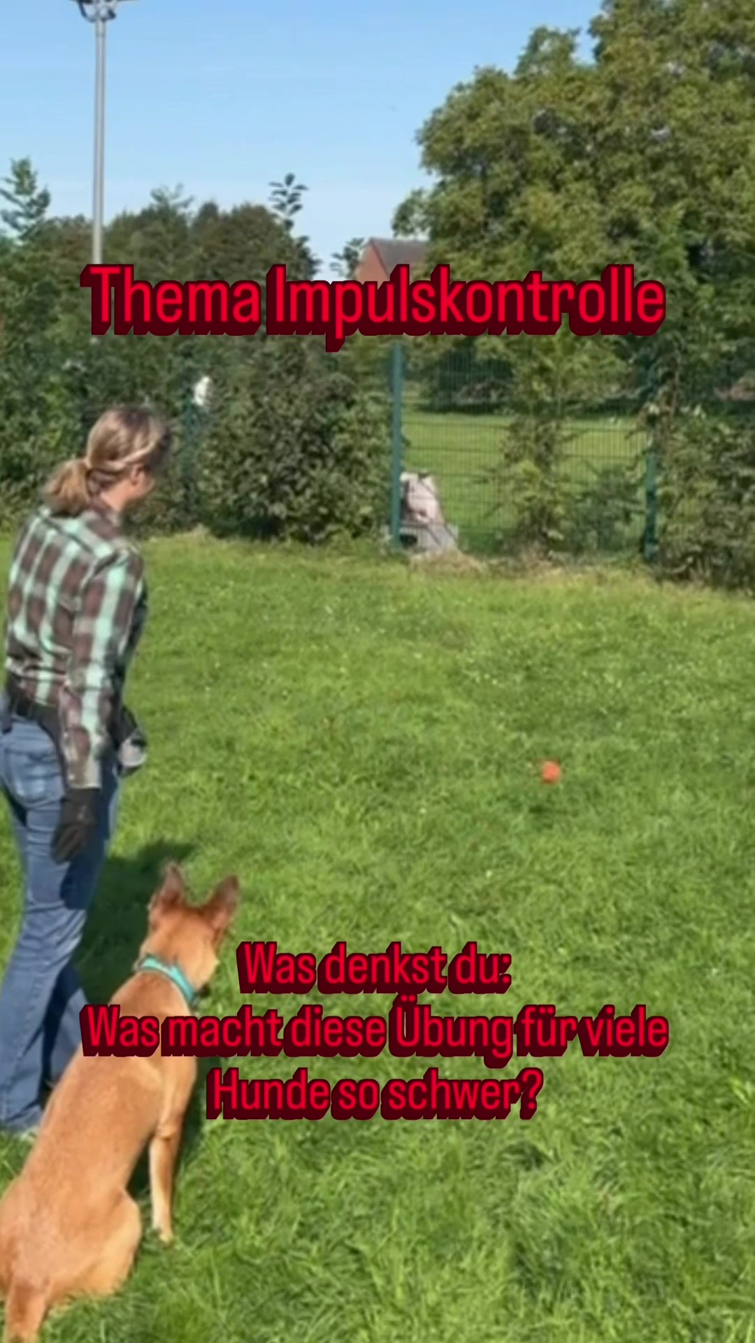 @INSAbenteuerHund
