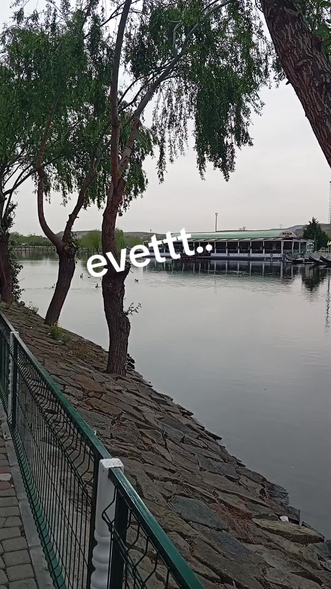@ŞERİFE TüLü @33