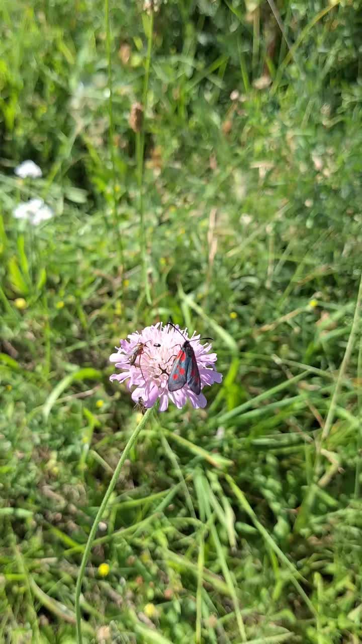 @Natur und Garten