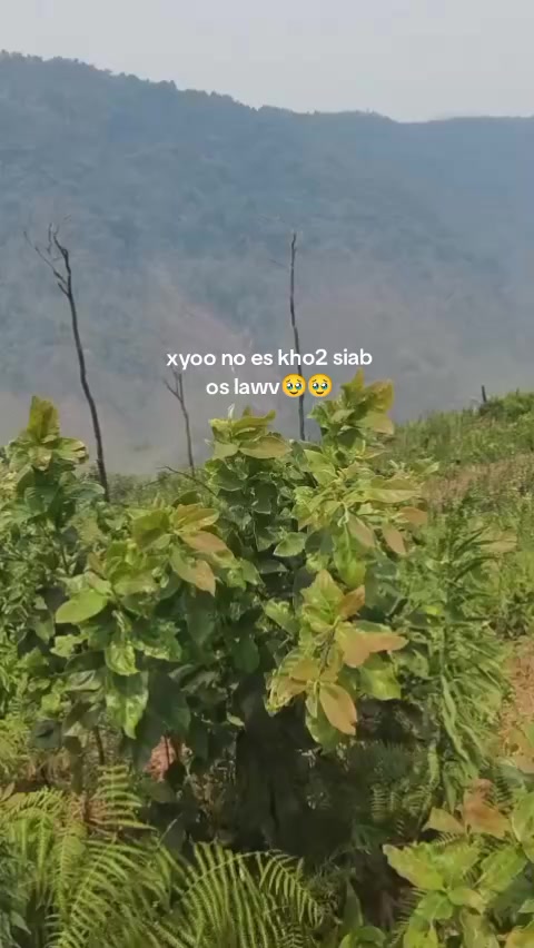 @ceeb