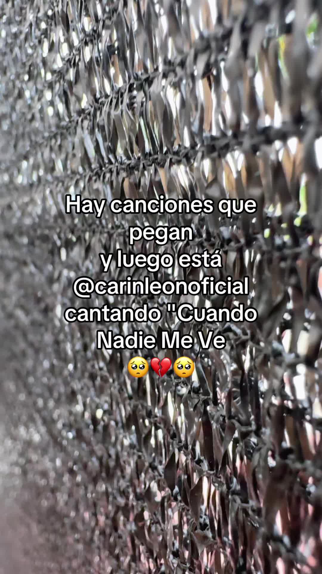 @pablocarbajal63