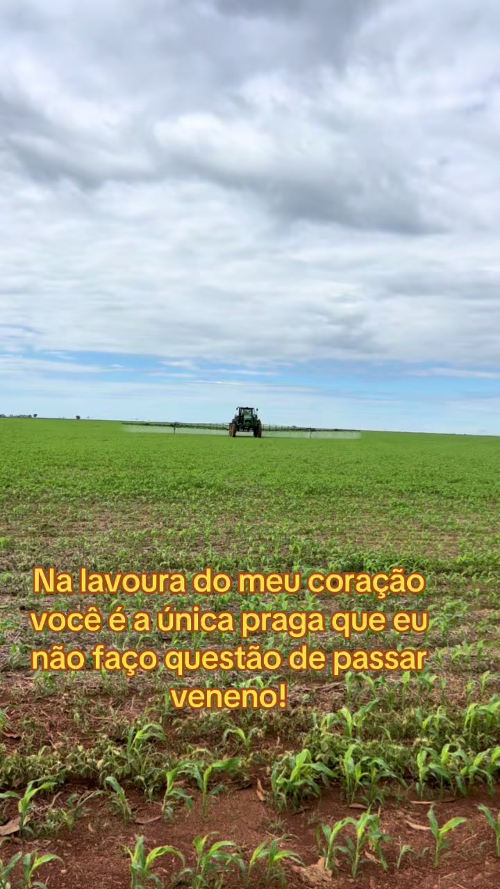@Jordanna Lopes