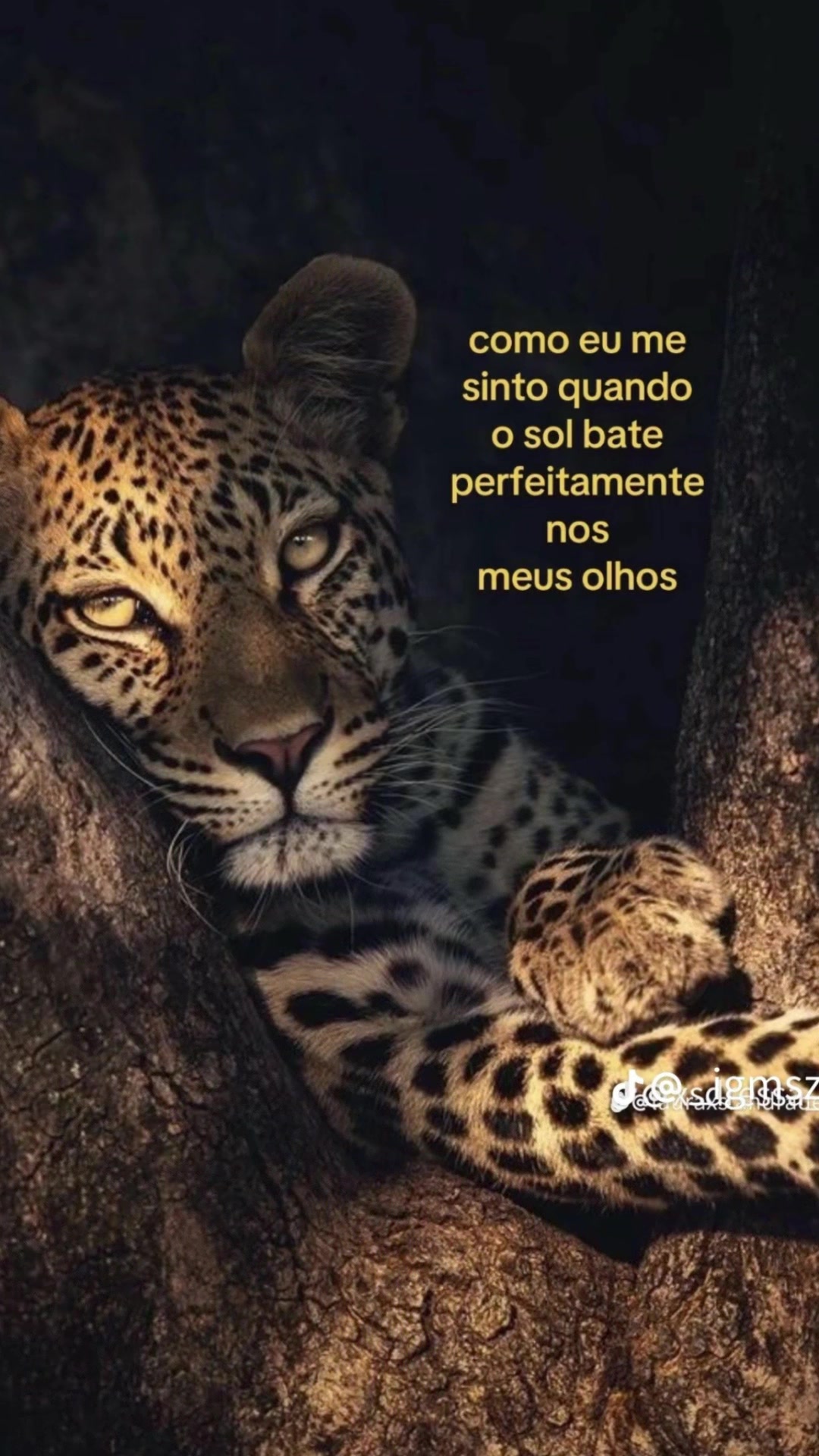 @gabriela🐈⬛