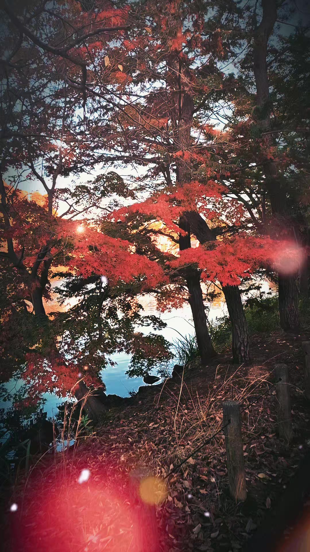 @kazuhiro sato